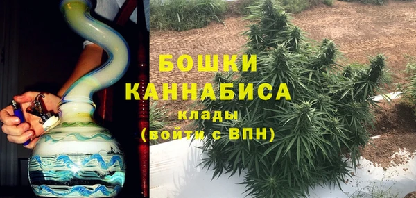 прущие грибы Бронницы