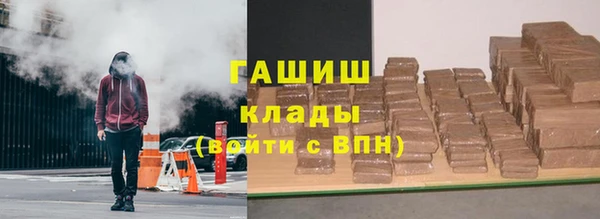 прущие грибы Бронницы