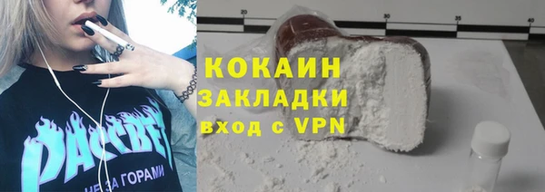 прущие грибы Бронницы