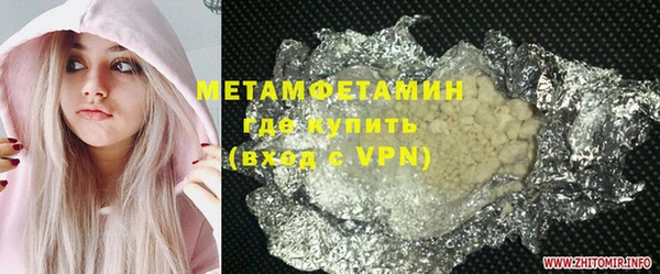 прущие грибы Бронницы