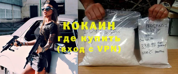 прущие грибы Бронницы